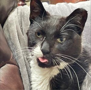 Meet your Posher, Laurie